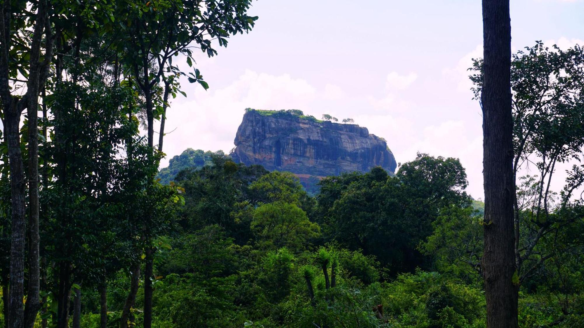 Sigiri Saat Cabana Sigiriya Eksteriør bilde